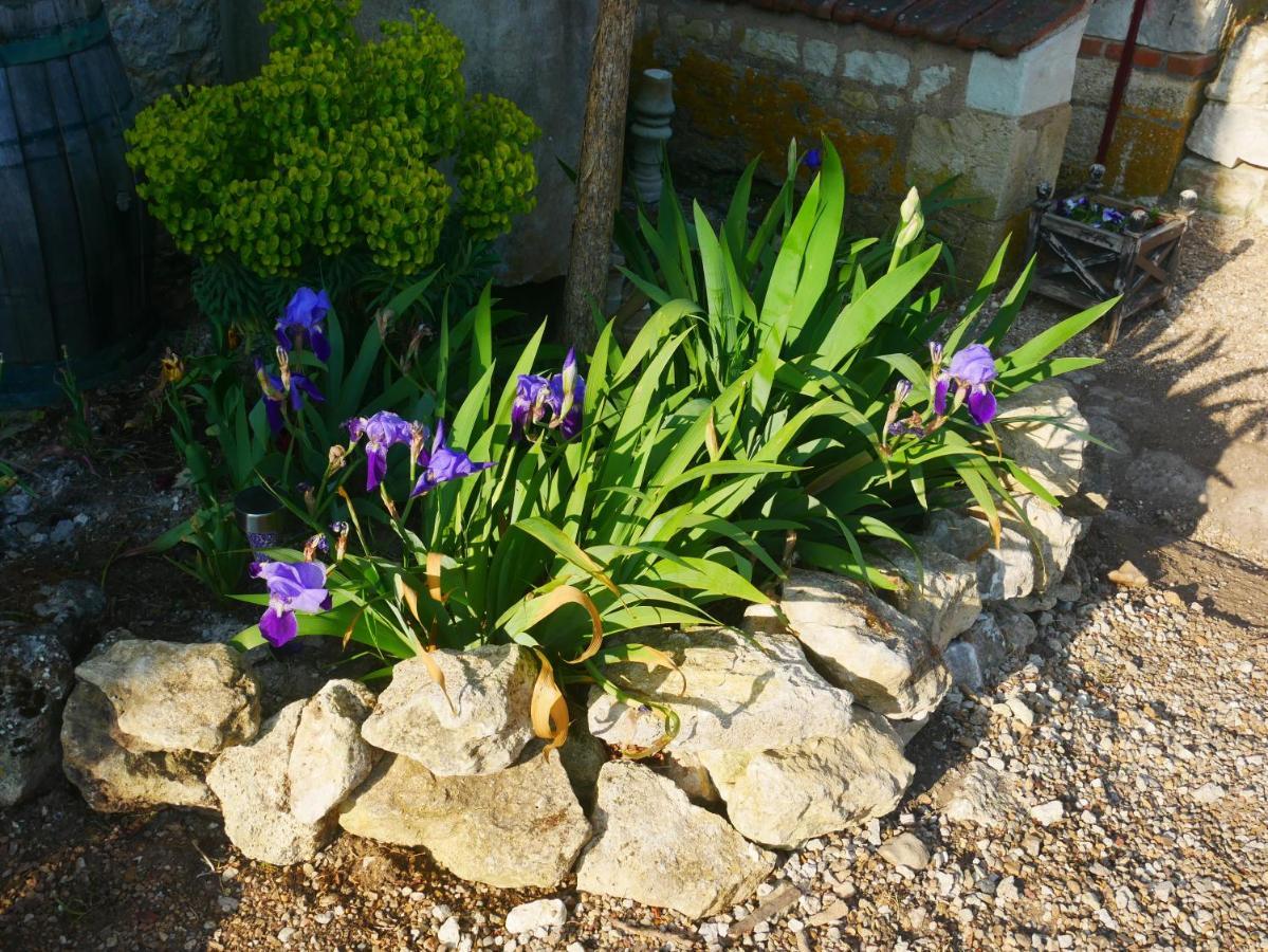 Au Coeur De La Cour Villa Saint-Georges-sur-Cher Luaran gambar