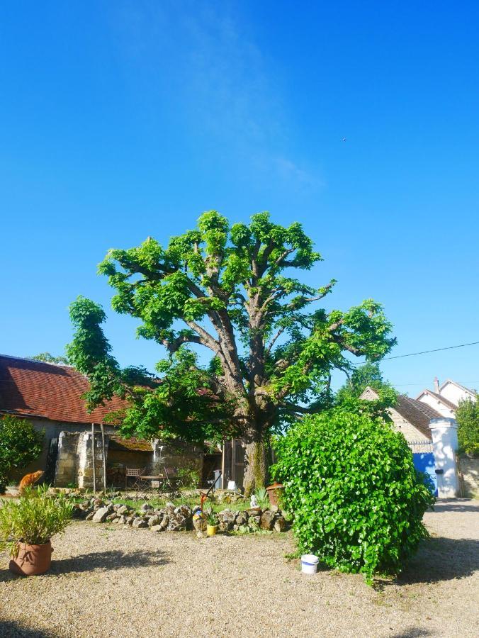 Au Coeur De La Cour Villa Saint-Georges-sur-Cher Luaran gambar
